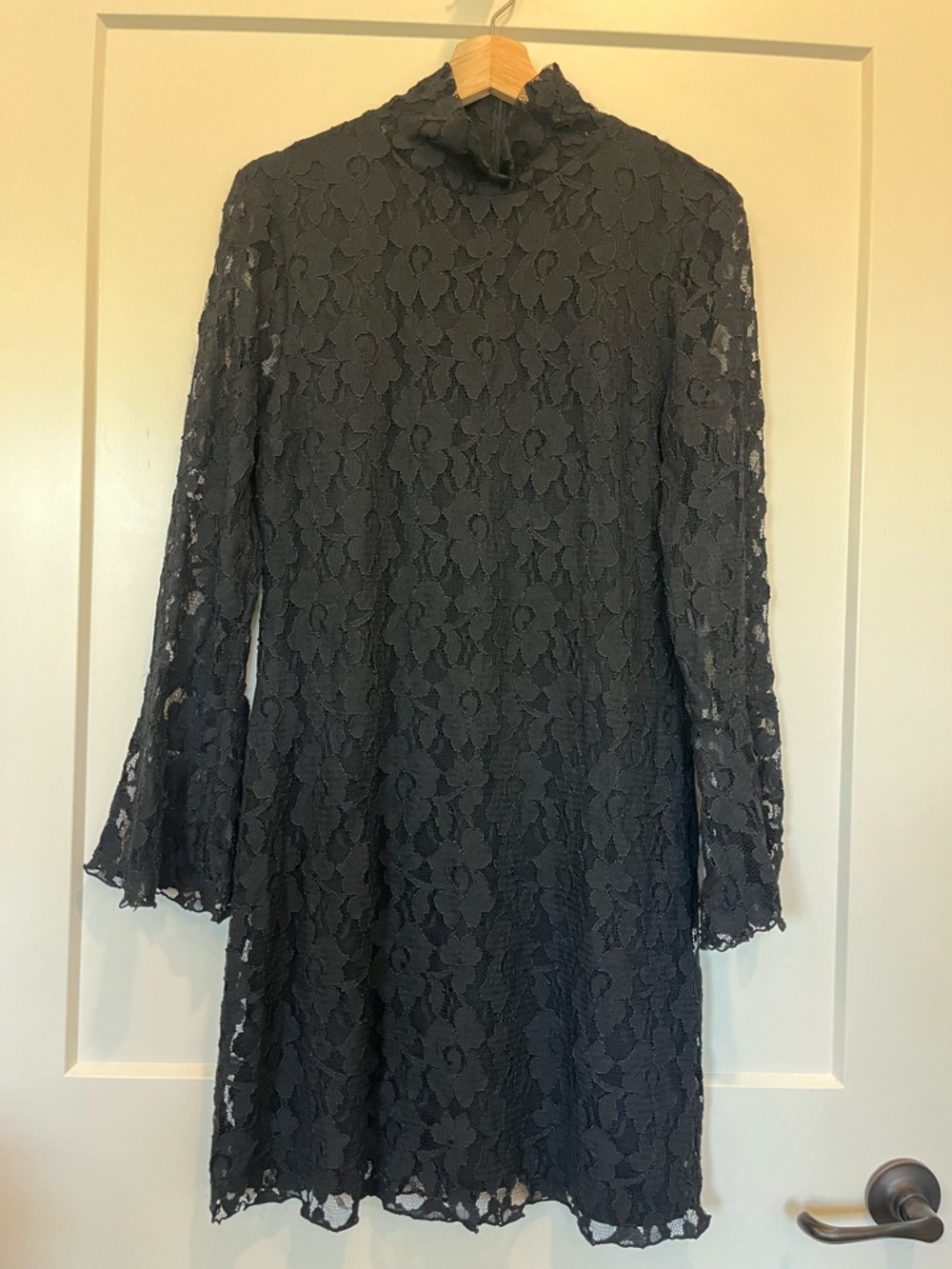 Black lace flare sleeve fairy vamp whimsigoth mock neck sheer date night dress